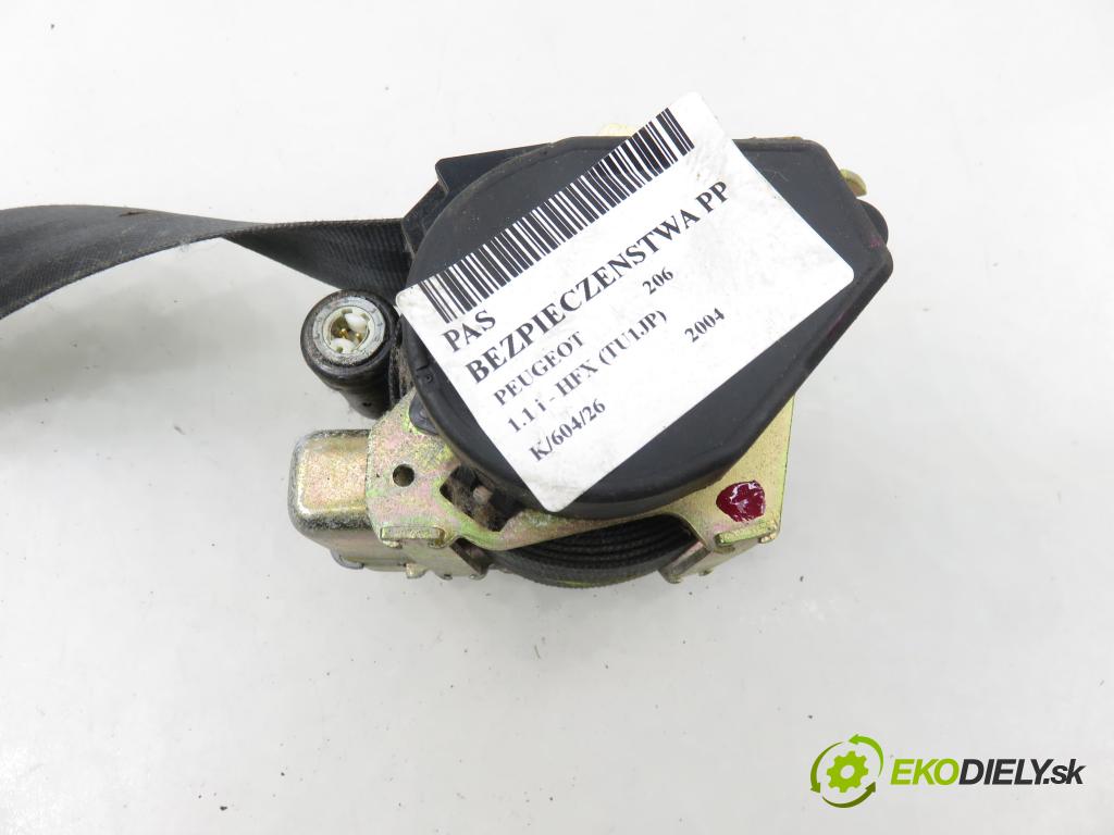 PEUGEOT 206 liftback (2A/C) HB 2004 440,00 1.1 i - HFX (TU1JP) 1124,00 Držiak bezpečnostný PP 96483378XX