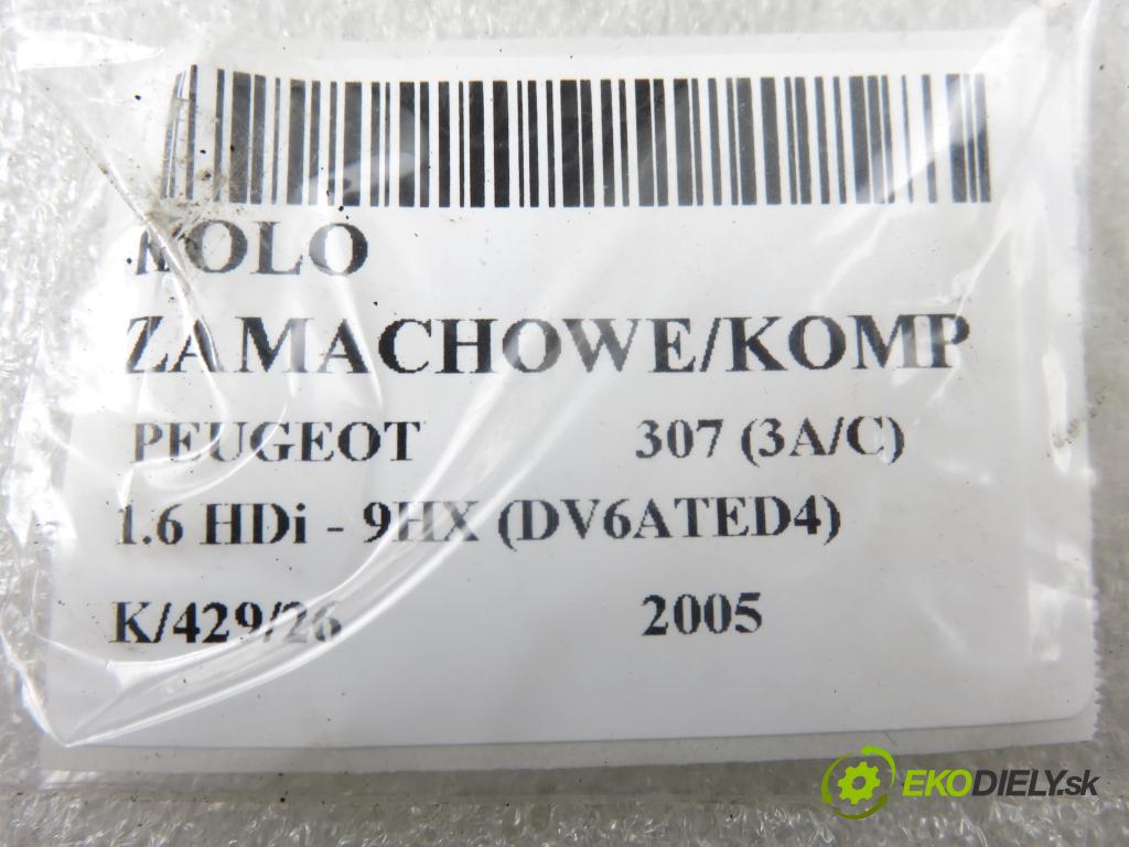 PEUGEOT 307 (3A/C) HB 2005 66,00 1.6 HDi 90 - 9HX (DV6ATED4) 1560,00 řemenice zotrvačník: 324038910 ; 9639780480