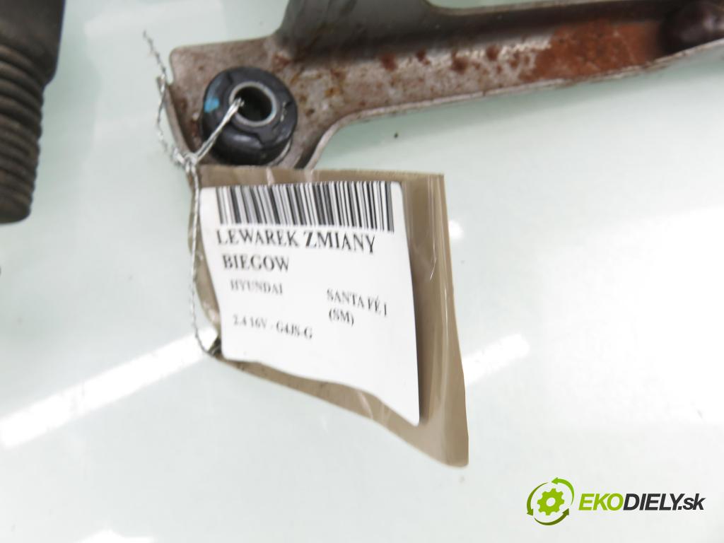 HYUNDAI SANTA FÉ I (SM) SUV 2001 0,00 2.4 16V - G4JS-G 2351,00 ZVEDÁK:
