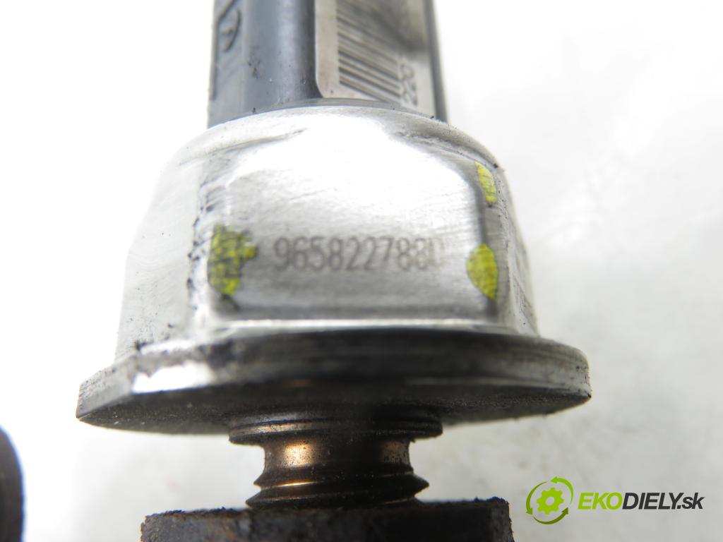CITROEN C8 (EA_, EB_) MINIVAN 2007 100,00 2.0 HDi 135 - RHR (DW10BTED4) 1997,00 lišta vstřikovací 9681649580 ; 9658227880 ; 55PP0603 (Vstřikovací lišta)
