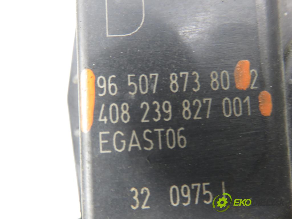 PEUGEOT 307 SW (3H) KOMBI 2005 0,00 2.0 16V - RFJ (EW10A) 1997,00 škrtíci klapka 9650787380 ; 408239827001 (Škrticí klapka)