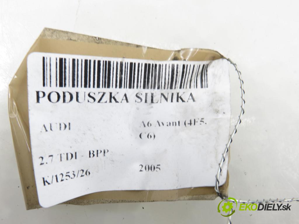 AUDI A6 Avant (4F5, C6) KOMBI 2005 132,00 2.7 TDI - BPP 2698,00 AirBag Motor 4F0199379L