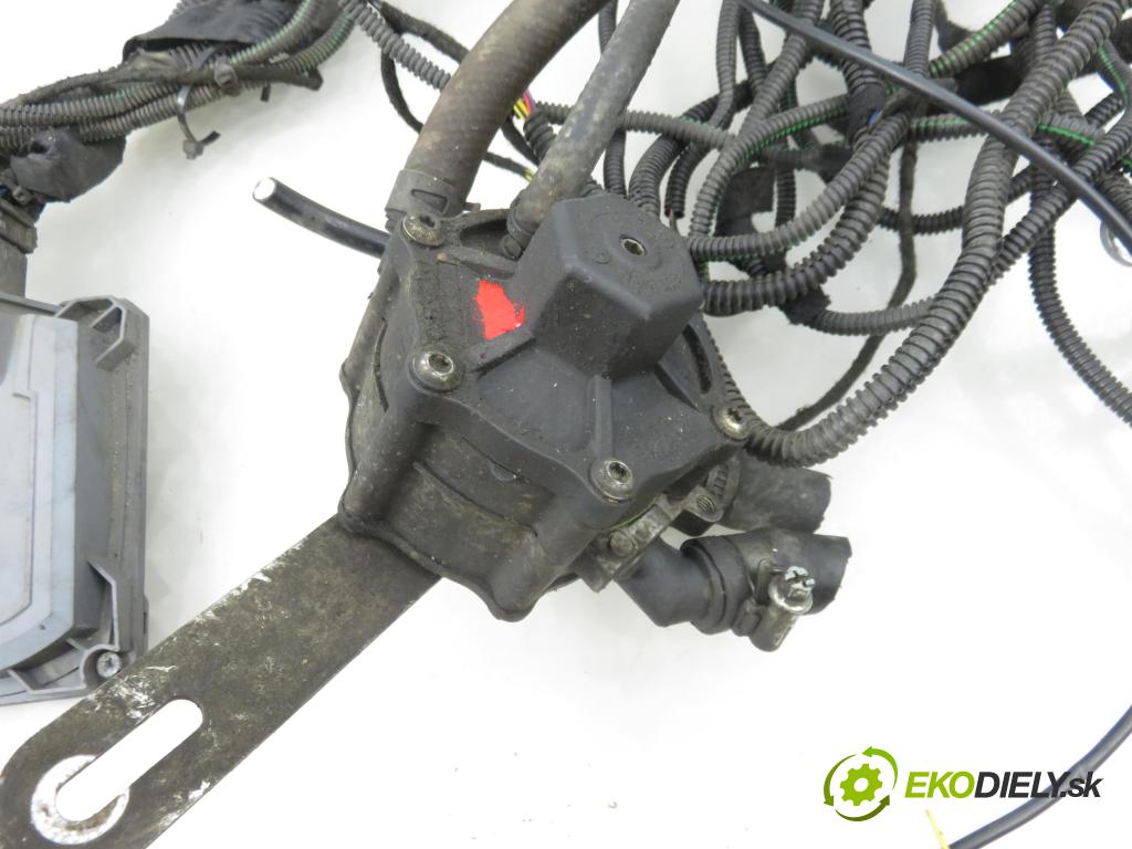 FORD C-MAX II (DXA/CB7, DXA/CEU) MINIVAN 2013 136,00 2.0 Duratec Hybrid 1999,00 INSTALACE: LPG komplentní 67R013787 ; 67R030973 ; 67R016865