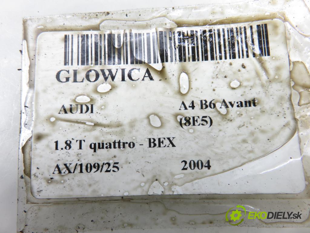 AUDI A4 Avant (8E5, B6) KOMBI 2004 140,00 1.8 T quattro - BEX 1781,00 hlava 06A103373AS
