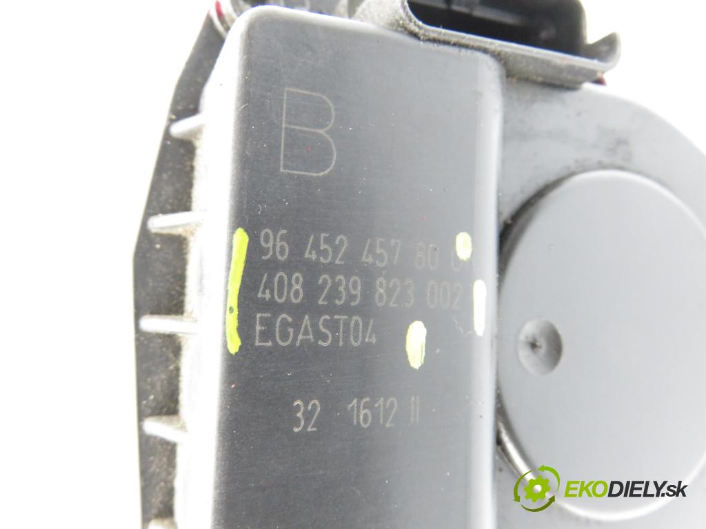PEUGEOT 307 (3A/C) HB 2002 100,00 2.0 16V - RFN (EW10J4) 1997,00 škrtíci klapka 9645245780 ; 408239823002 ; EGAST04 (Škrticí klapka)