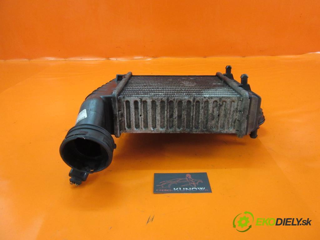 VW PASSAT B5 2.5 TDI AFB, AKN   110 kW 150 km  chladič intercooler 3B0145805J , 0281002399 (Hadice chlazení vzduchu)