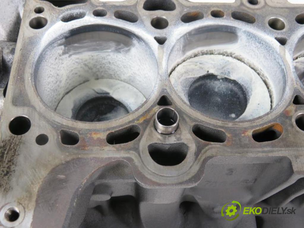 BMW 3 E46 FL 2.0 D 320 D M47N 204 D4 manual 5 - stupňová 110 kW 150 km Blok Motor M47204D4 (Blok motora)