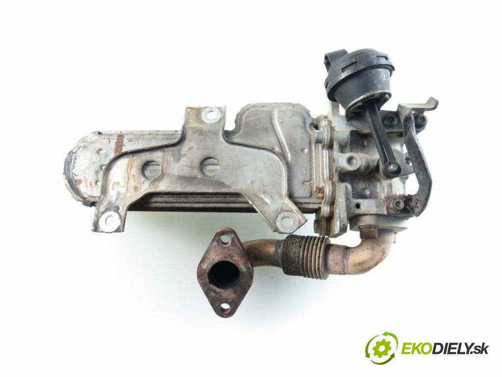 VW GOLF V PLUS HB 2004 1,90 Pozostałe 1896,00 Chladič spalín 038131513AD