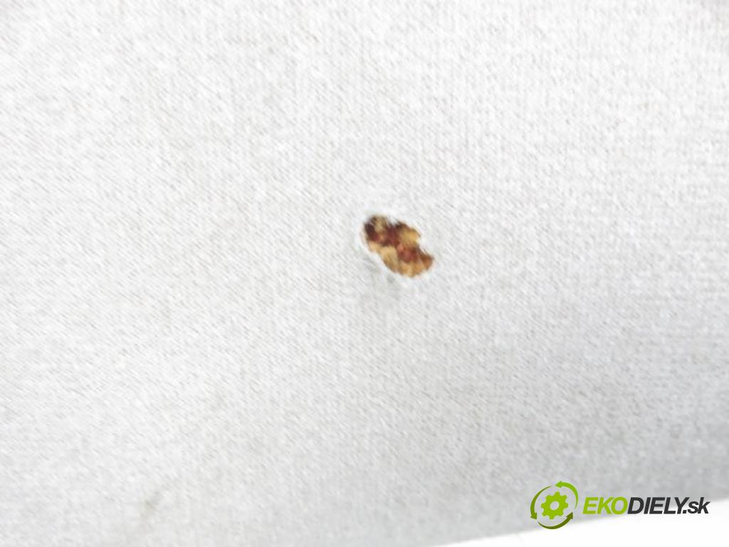 VW TRANSPORTER V Autobus (7HB, 7HJ, 7EB, 7EJ, 7EF, 7EG, 7HF, 7E BUS 2004 2461,00 Podsufitki 2461,00 Stropný tapacír 7H1867499AT (Stropné tapacíre)