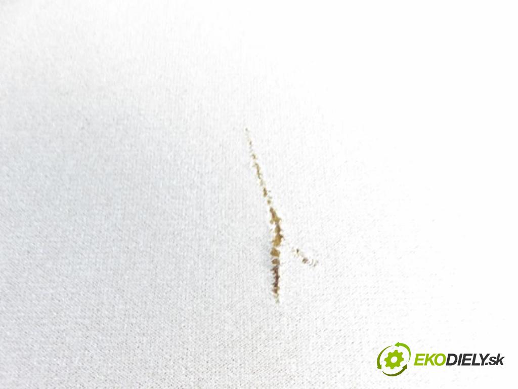 VW TRANSPORTER V Autobus (7HB, 7HJ, 7EB, 7EJ, 7EF, 7EG, 7HF, 7E BUS 2004 2461,00 Podsufitki 2461,00 Stropný tapacír 7H1867499AT (Stropné tapacíre)