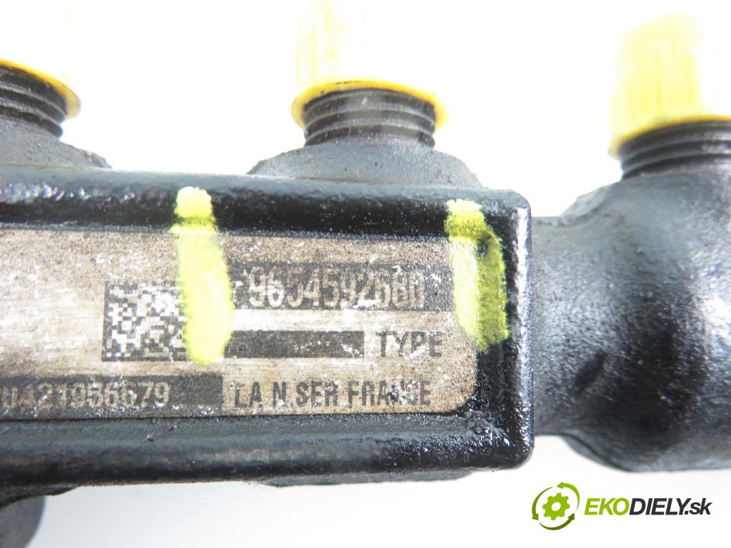 PEUGEOT 307 (3A/C) HB 2002 1398,00 Listwy wtryskowe 1398,00 Lišta vstrekovacia 9654592680; 9653981180 (Vstrekovacie lišty)