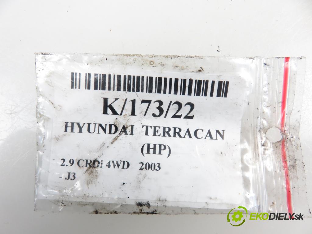 HYUNDAI TERRACAN (HP) SUV 2003 2902,00 Pozostałe 2902,00 Chladič spalín