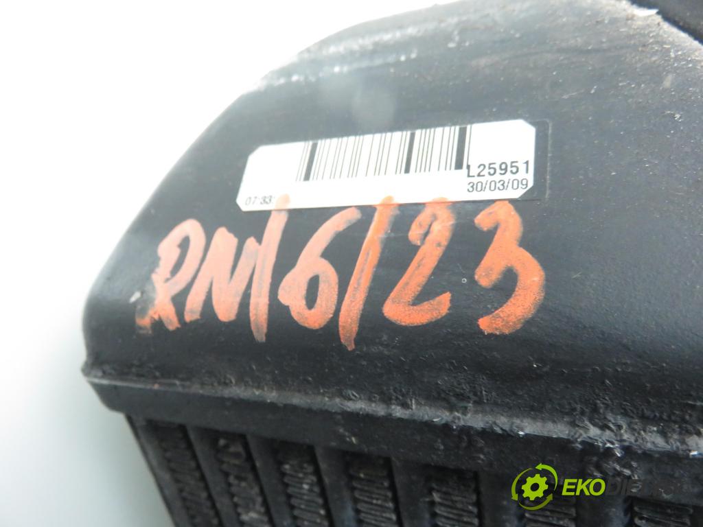 LAND ROVER RANGE ROVER SPORT (L320) SUV 2009 2720,00 Chłodnice wody 2720,00 chladič vody 7H328T000DA