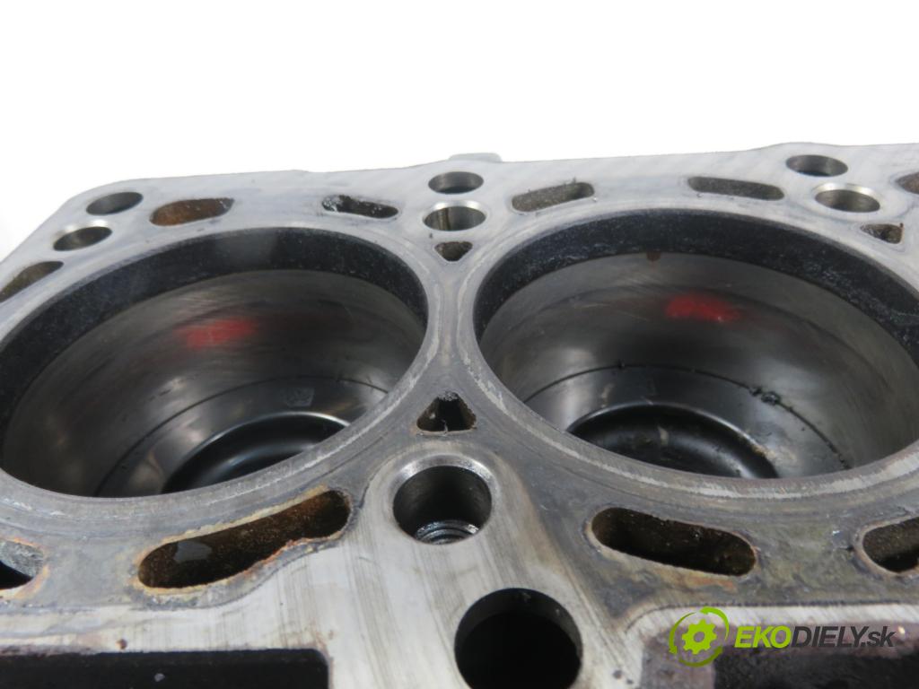 SKODA FABIA II (542) HB 2014 1598,00 Bloki 1598,00 blok Motor CAYA (Blok motora)