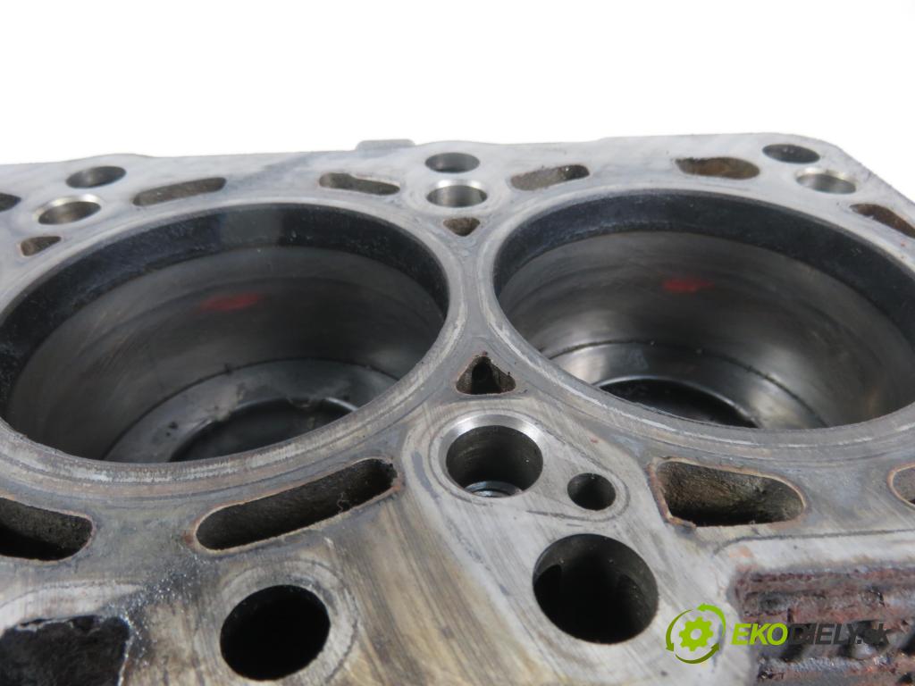 SKODA FABIA II (542) HB 2014 1598,00 Bloki 1598,00 blok Motor CAYA (Blok motora)