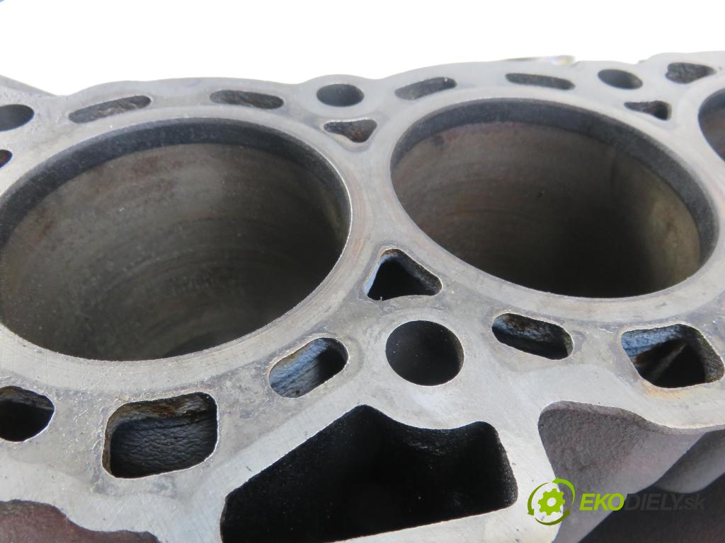 LAND ROVER RANGE ROVER SPORT (L320) SUV 2009 2720,00 Bloki 2720,00 blok Motor 276DT (Blok motora)