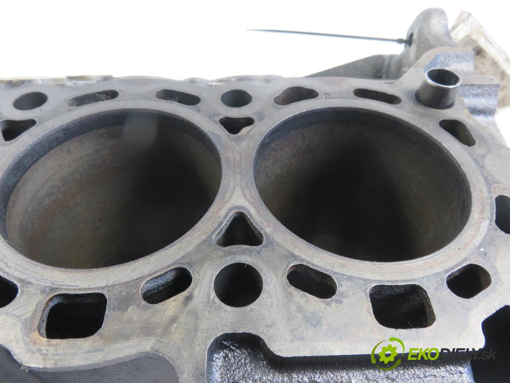 LAND ROVER RANGE ROVER SPORT (L320) SUV 2009 2720,00 Bloki 2720,00 blok Motor 276DT (Blok motora)