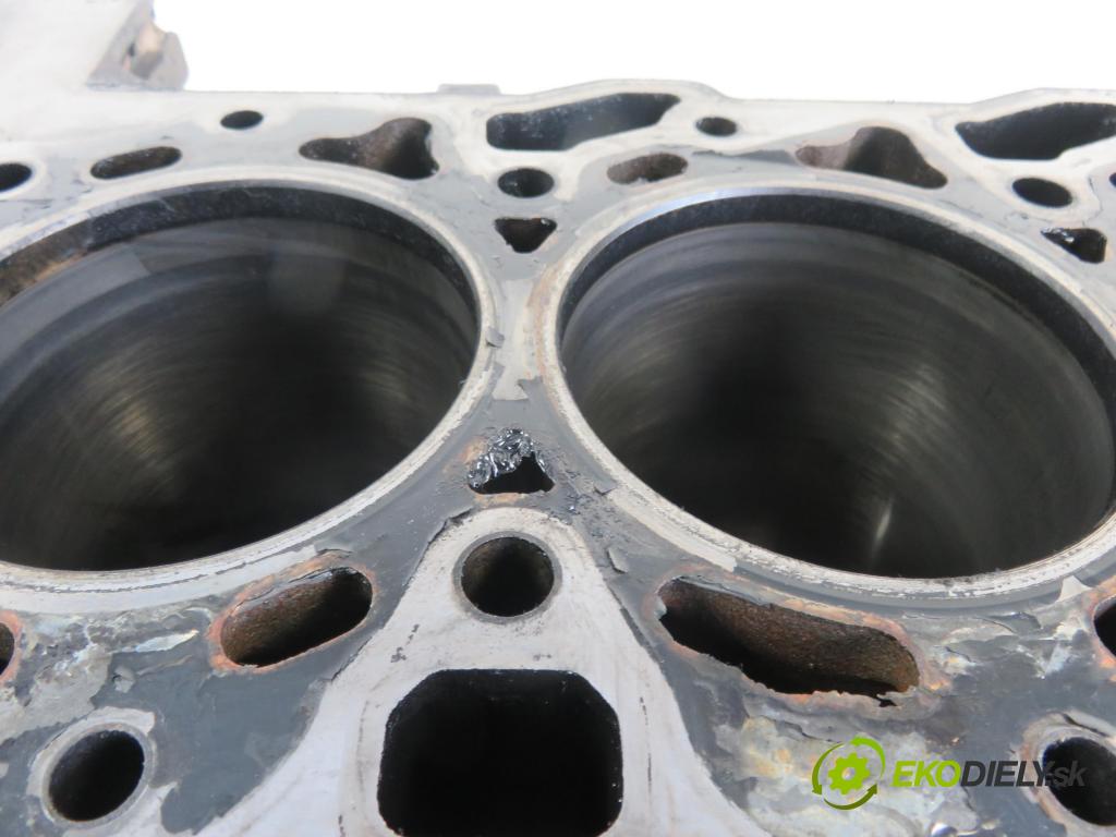 FORD TRANSIT Furgon (FA_ _) FURGON 2008 2198,00 Bloki 2198,00 blok Motor  (Blok motora)