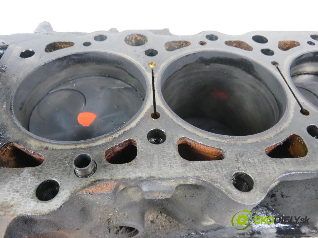 MERCEDES-BENZ Sedan (W124) SEDAN 1987 80,00 300 D (124.130) - OM 603.912 2996,00 blok Motor OM603912 (Blok motora)