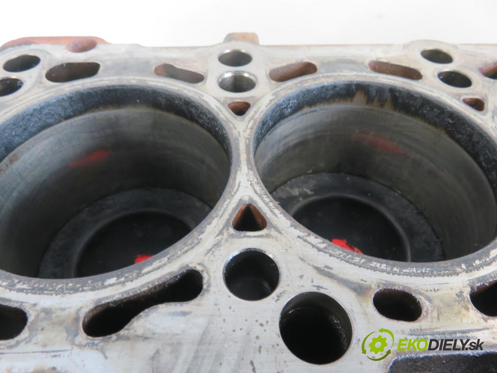 VW PASSAT B6 (3C2) SEDAN 2009 125,00 2.0 TDI - CBBB 1968,00 blok Motor CBBB (Blok motora)