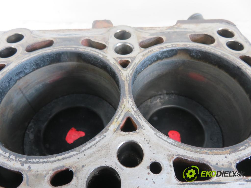 VW PASSAT B6 (3C2) SEDAN 2009 125,00 2.0 TDI - CBBB 1968,00 blok Motor CBBB (Blok motora)