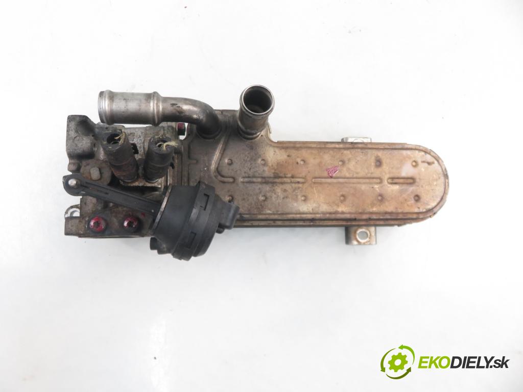 VW TOURAN (1T1, 1T2) MINIVAN 2004 100,00 2.0 TDI PD 16V 136 - AZV 1968,00 Chladič spalín 03G131083