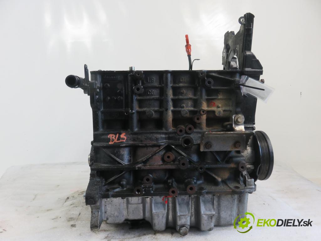 VW GOLF PLUS (5M1, 521) MINIVAN 2007 77,00 1.9 TDI - BLS 1896,00 blok Motor BLS (Blok motora)