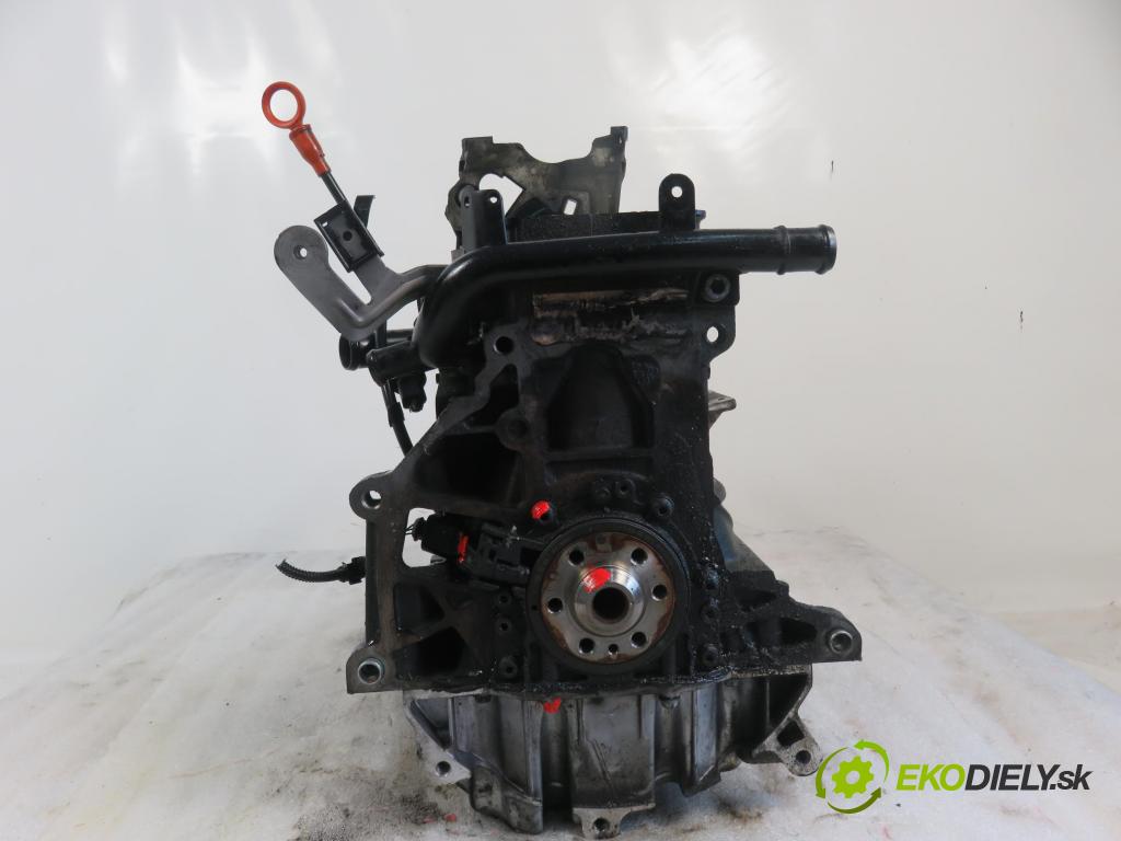 VW GOLF PLUS (5M1, 521) MINIVAN 2007 77,00 1.9 TDI - BLS 1896,00 blok Motor BLS (Blok motora)