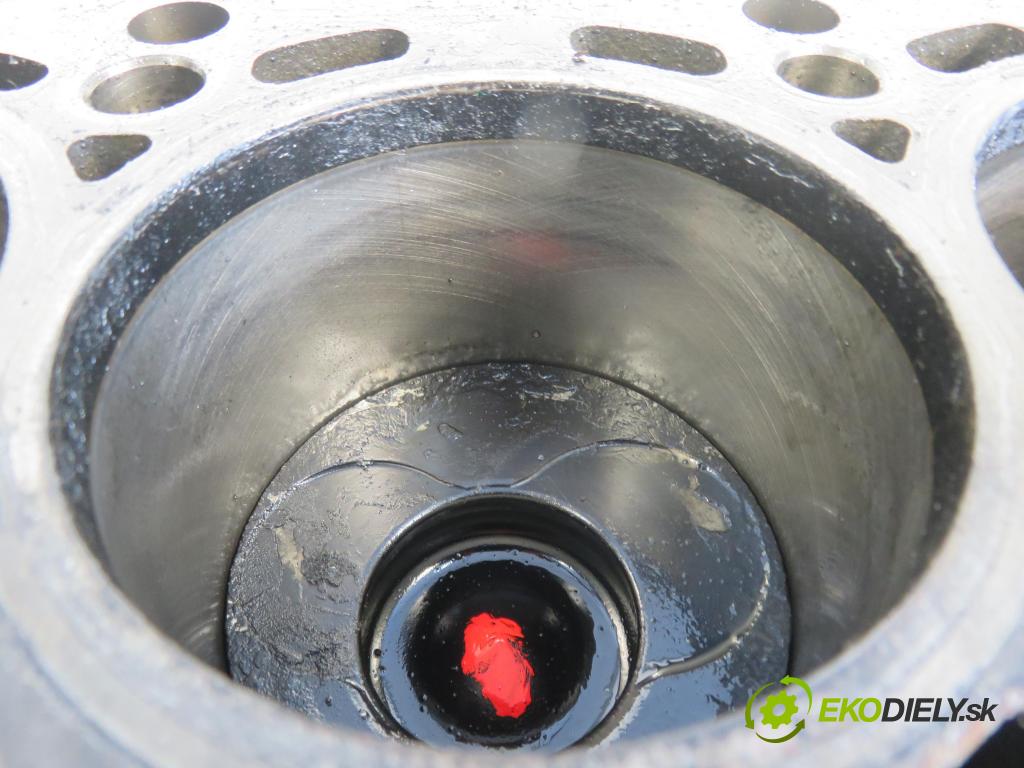 VW GOLF PLUS (5M1, 521) MINIVAN 2007 77,00 1.9 TDI - BLS 1896,00 blok Motor BLS (Blok motora)