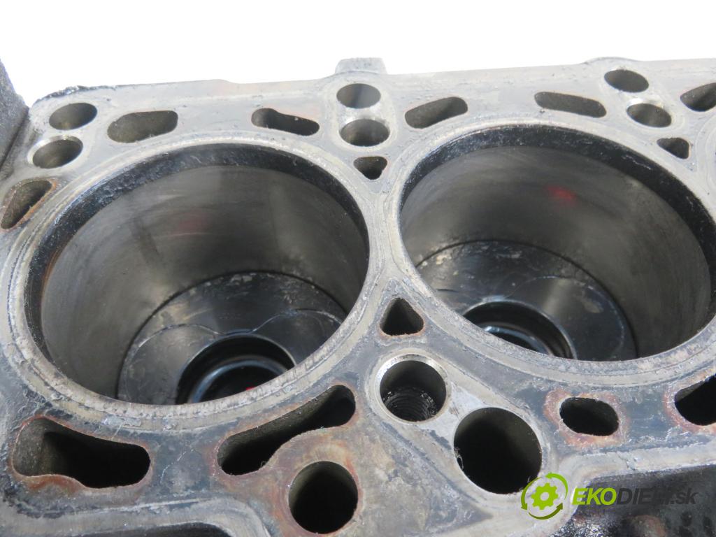 VW GOLF PLUS (5M1, 521) MINIVAN 2007 77,00 1.9 TDI - BLS 1896,00 blok Motor BLS (Blok motora)