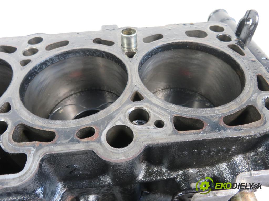 VW GOLF PLUS (5M1, 521) MINIVAN 2007 77,00 1.9 TDI - BLS 1896,00 blok Motor BLS (Blok motora)