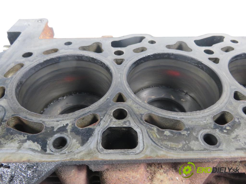 FORD TRANSIT Furgon (FA_ _) FURGON 2011 63,00 2.2 TDCi - P8FA 2198,00 blok Motor P8FA (Blok motora)