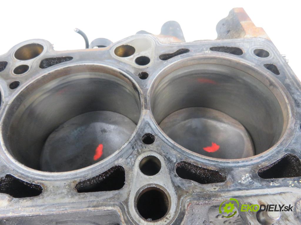 AUDI A4 (8EC, B7) SEDAN 2006 147,00 2.0 TFSI quattro - BPG 1984,00 blok Motor BPG (Blok motora)