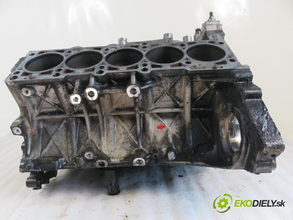 VW TOUAREG (7LA, 7L6, 7L7) SUV 2003 230,00 5.0 V10 TDI PD 313 - AYH 4921,00 blok Motor AYH (Blok motora)