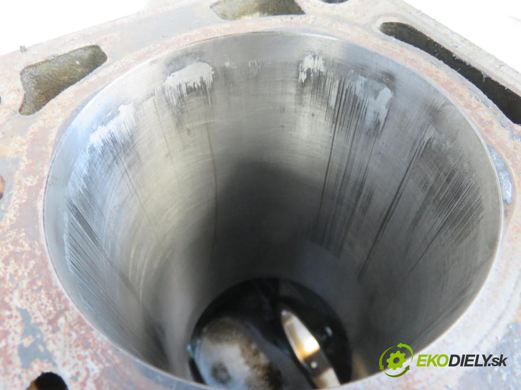 IVECO DAILY VI Furgon FURGON 2020 100,00 3.0 NaturalPower 136 - F1CFA401C 2998,00 blok Motor F1CFA401C (Blok motora)