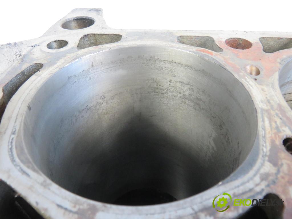 IVECO DAILY VI Furgon FURGON 2020 100,00 3.0 NaturalPower 136 - F1CFA401C 2998,00 blok Motor F1CFA401C (Blok motora)