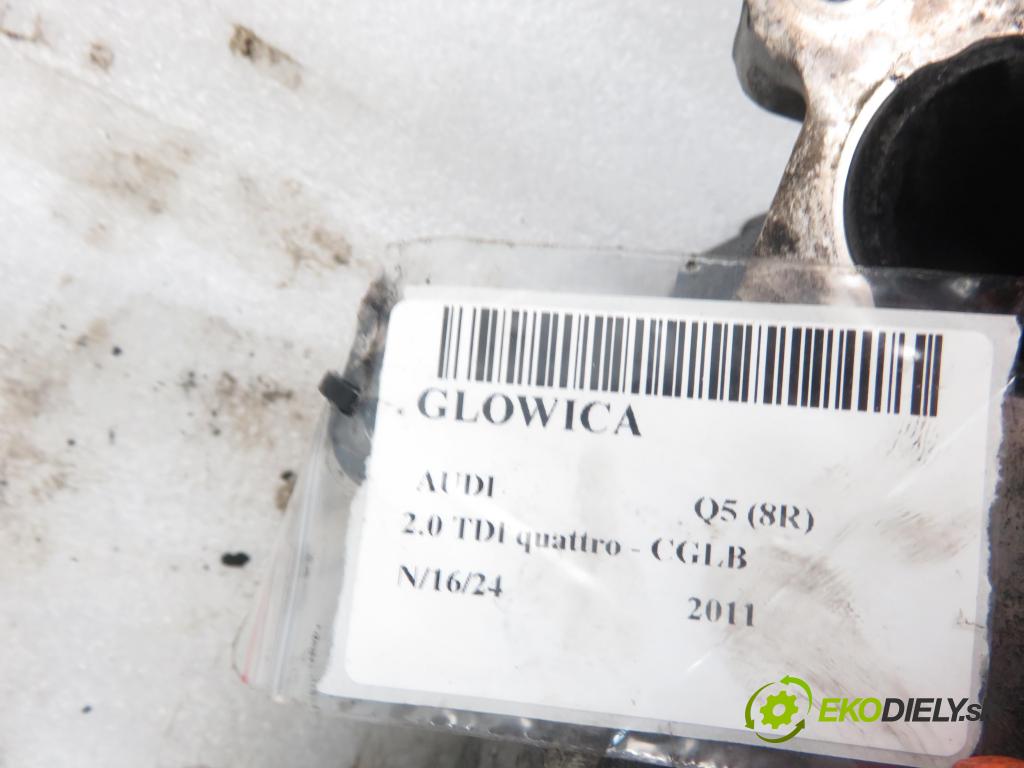 AUDI Q5 (8R) SUV 2011 125,00 2.0 TDI quattro - CGLB 1968,00 hlava 03L103373J
