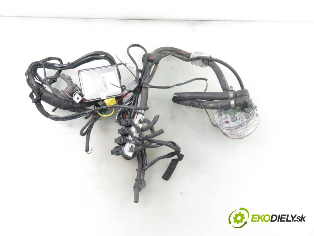 PEUGEOT 206 CC (2D) CABRIO 2001 100,00 2.0 S16 - RFN (EW10J4) 1997,00 LPG komplentny 67R010973