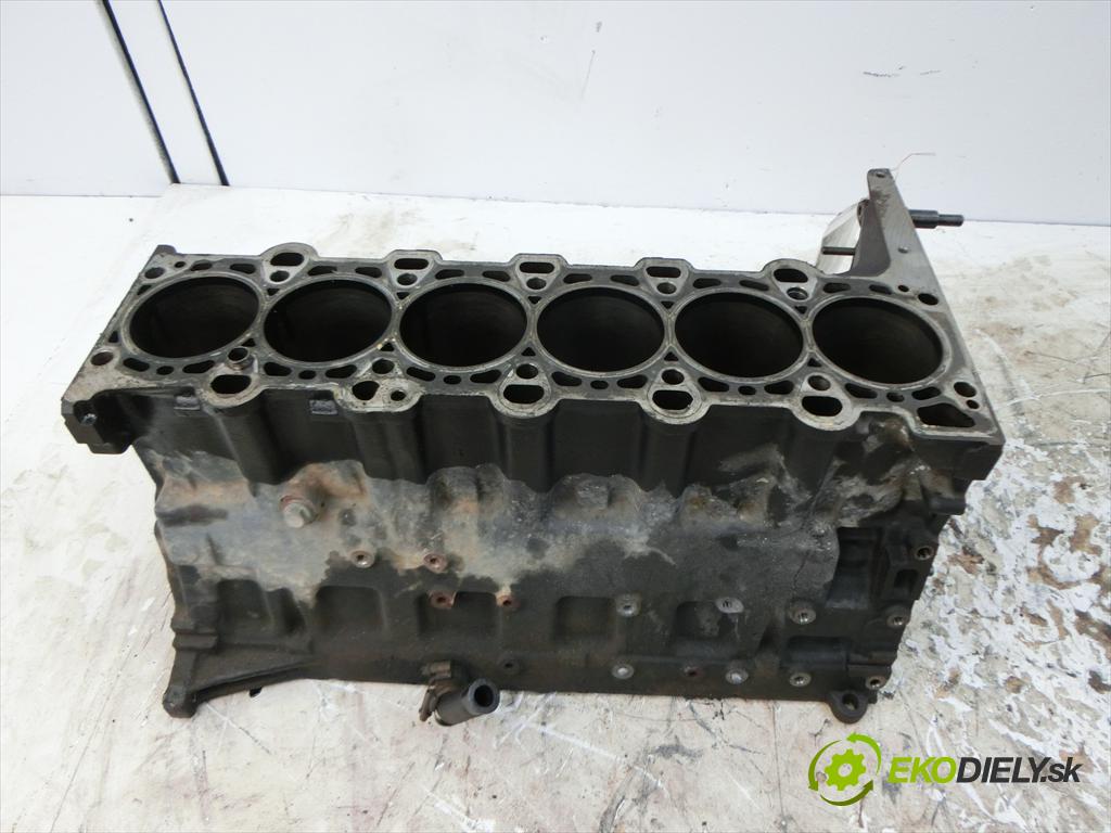 BMW X5    E53 3.0D 24V 184KM 99-06  Blok Motor 306D1  (Blok motora)