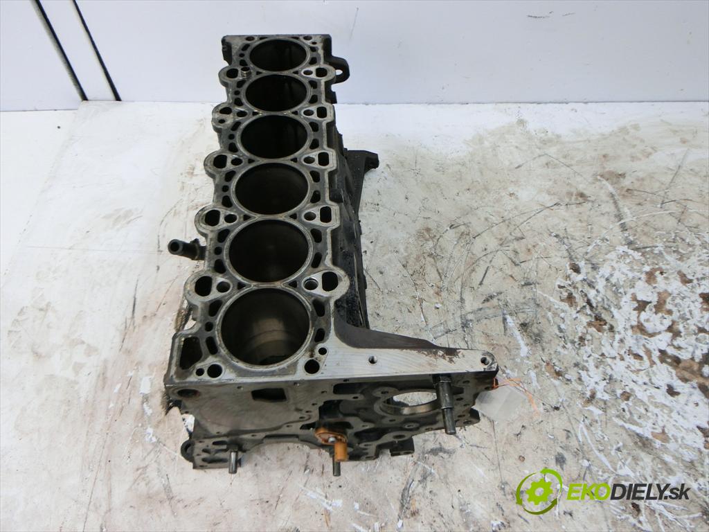 BMW X5    E53 3.0D 24V 184KM 99-06  Blok Motor 306D1  (Blok motora)