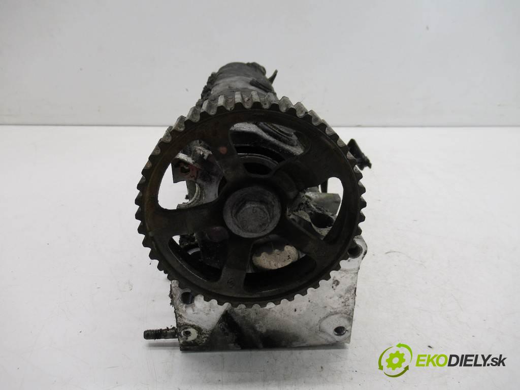 Renault Scenic II  2003  1.9DCI 120KM 03-06 1900 Hlava valcov  (Hlavy valcov)