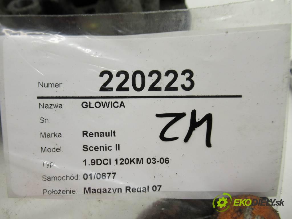 Renault Scenic II  2003  1.9DCI 120KM 03-06 1900 Hlava valcov  (Hlavy valcov)