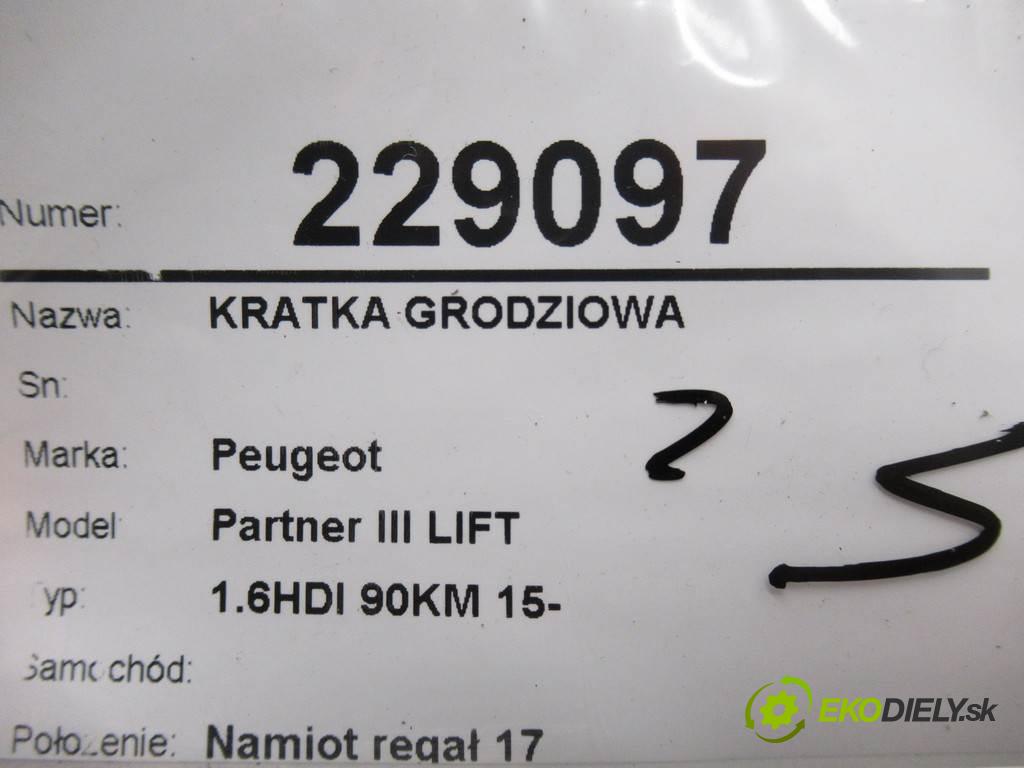 Peugeot Partner III LIFT    1.6HDI 90KM 15-  Mriežky deliaca  (Ostatné)