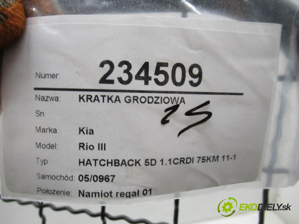 Kia Rio III  2013 55 kW HATCHBACK 5D 1.1CRDI 75KM 11-17 1100 Mriežky deliaca  (Ostatné)