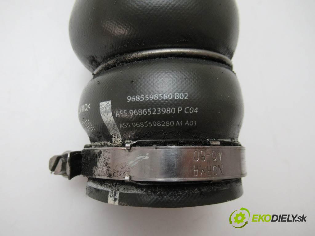 Citroen Berlingo II    III 1.6HDI 92KM 08-18  Rúra hadica turba  (Hadice)