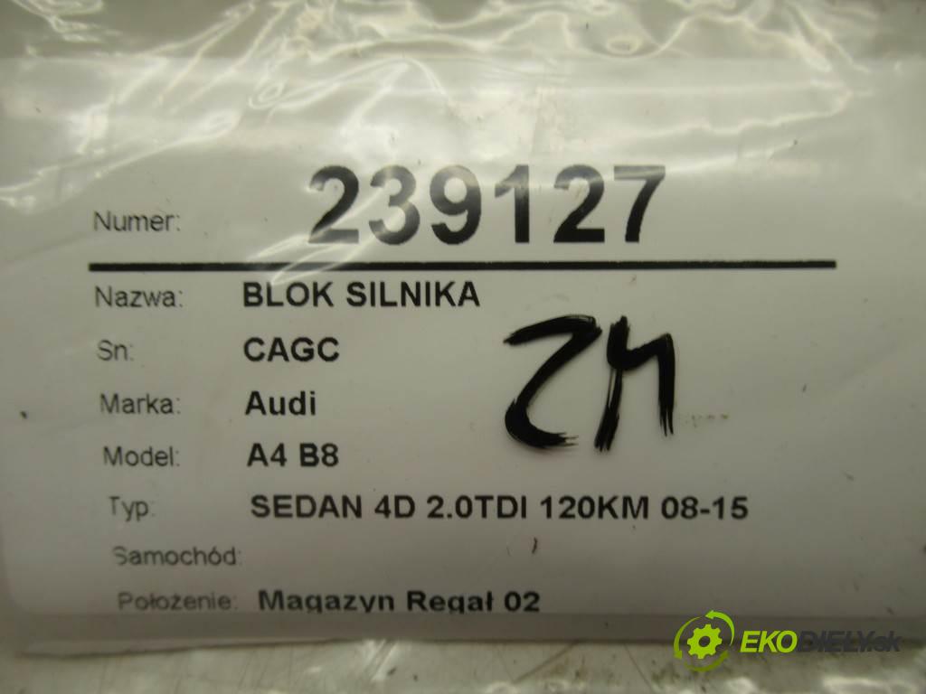 Audi A4 B8    SEDAN 4D 2.0TDI 120KM 08-15  Blok Motor CAGC (Blok motora)