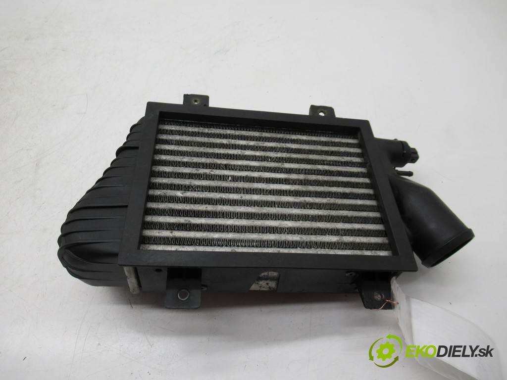 Volkswagen Transporter IV T4    2.5TDI 102KM 90-03  intercooler  (Intercoolery (chladiče nasávaného vzduchu))