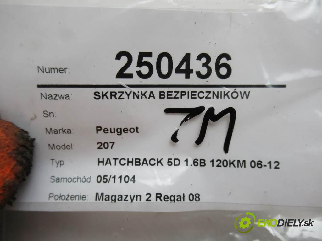 Peugeot 207  2009 88 kW HATCHBACK 5D 1.6B 120KM 06-12 1600 Skrinka poistková 9636079380 (Poistkové skrinky)