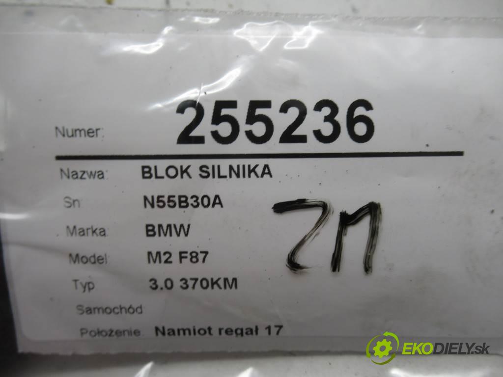 BMW M2 F87    3.0 370KM  Blok Motor N55B30A (Blok motora)