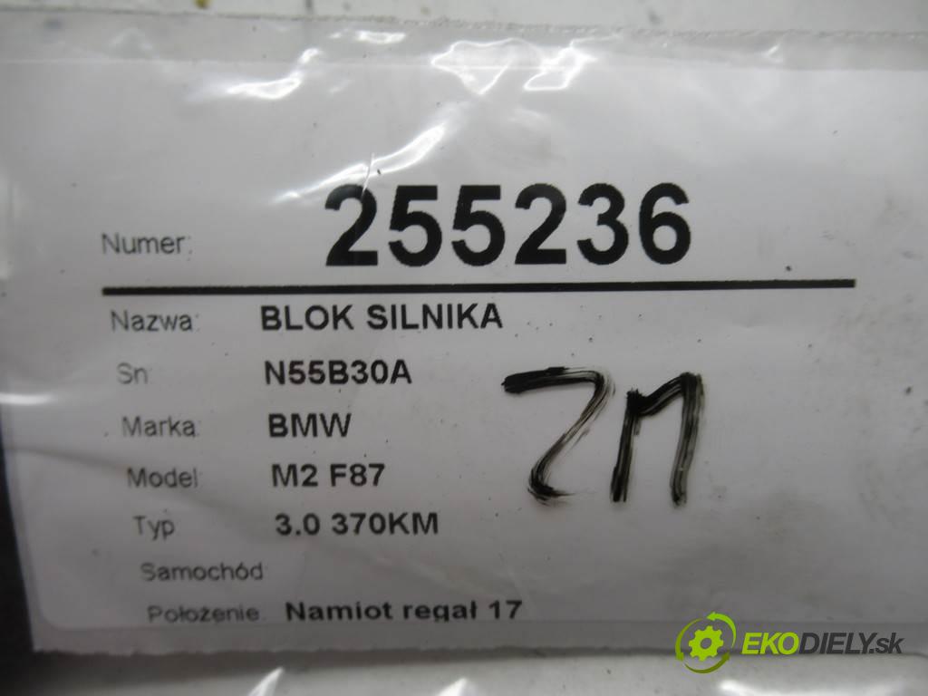 BMW M2 F87    3.0 370KM  Blok motora N55B30A (Blok motoru)
